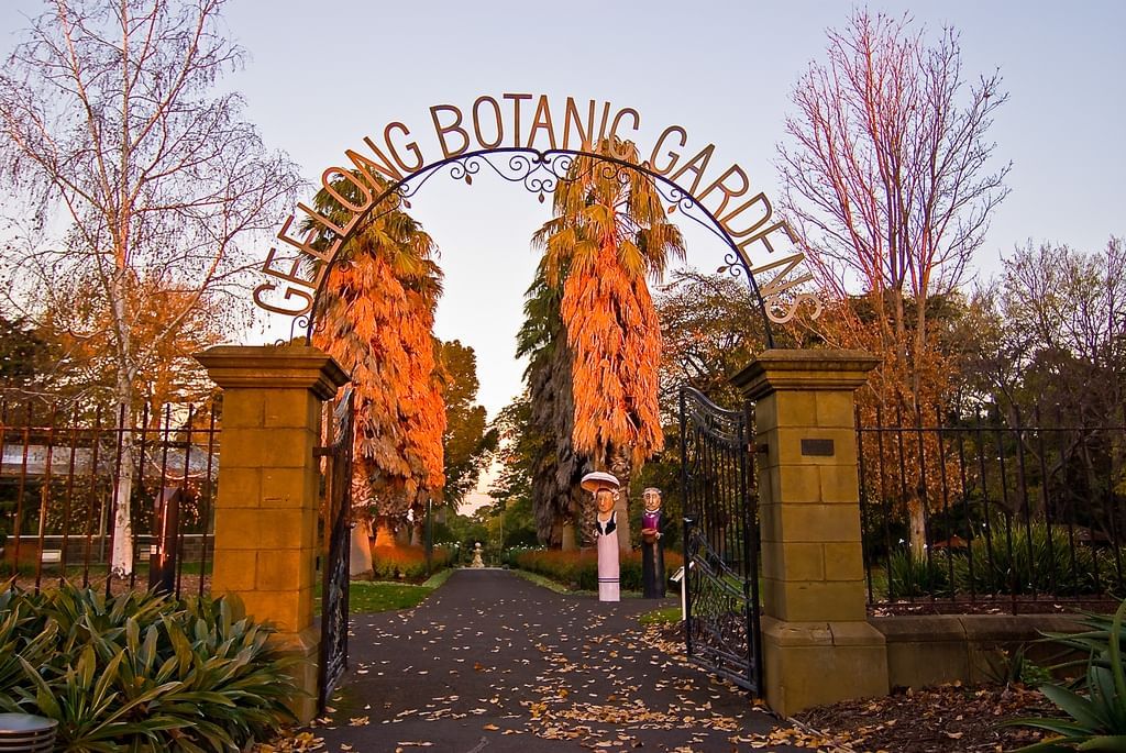 geelong-botanical-gardens