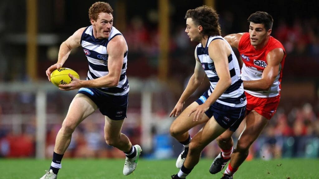 Geelong Cats AFL Game 